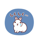 うさぎたちの敬語でご挨拶（個別スタンプ：27）