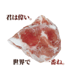 全てを肯定する豚肉（個別スタンプ：13）