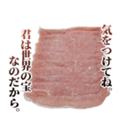 全てを肯定する豚肉（個別スタンプ：17）