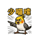 ズレズレ鳥シリーズ〜第1弾〜（個別スタンプ：4）