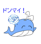 nobobi くじらくん（個別スタンプ：5）