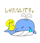 nobobi くじらくん（個別スタンプ：11）