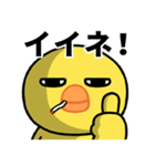 目の大きいヒヨコのちょっと敬語（個別スタンプ：1）