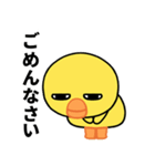 目の大きいヒヨコのちょっと敬語（個別スタンプ：12）
