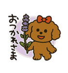 かわいいトイプードルの夏。（個別スタンプ：11）