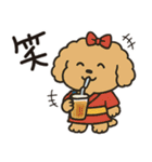 かわいいトイプードルの夏。（個別スタンプ：13）