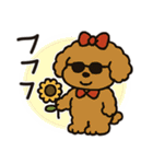 かわいいトイプードルの夏。（個別スタンプ：22）