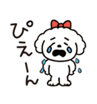 かわいいトイプードルの夏。（個別スタンプ：24）