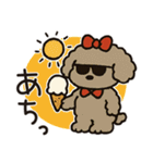 かわいいトイプードルの夏。（個別スタンプ：29）
