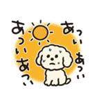 かわいいトイプードルの夏。（個別スタンプ：34）