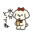 かわいいトイプードルの夏。（個別スタンプ：35）