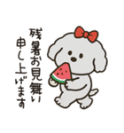 かわいいトイプードルの夏。（個別スタンプ：39）