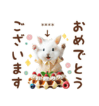 名入れ敬語の癒しうさぎ（個別スタンプ：29）