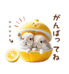 名入れ敬語の癒しうさぎ（個別スタンプ：37）