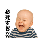 煽り度MAX赤ちゃん / シュール・面白い（個別スタンプ：16）
