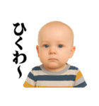 煽り度MAX赤ちゃん / シュール・面白い（個別スタンプ：32）