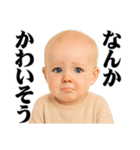 煽り度MAX赤ちゃん / シュール・面白い（個別スタンプ：35）