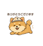 モコちゃんです。犬の。（個別スタンプ：6）