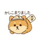モコちゃんです。犬の。（個別スタンプ：12）