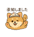 モコちゃんです。犬の。（個別スタンプ：13）