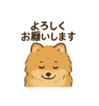 モコちゃんです。犬の。（個別スタンプ：16）