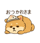モコちゃんです。犬の。（個別スタンプ：18）