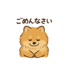 モコちゃんです。犬の。（個別スタンプ：24）