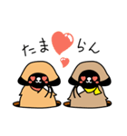 ペキニーズ姉妹 しゃけ＆ちーちー（個別スタンプ：8）