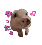 れっぷあ2（個別スタンプ：2）