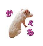 れっぷあ2（個別スタンプ：4）