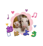 れっぷあ2（個別スタンプ：11）