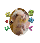 れっぷあ2（個別スタンプ：16）