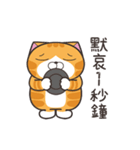 ランラン猫 68 (台湾版)（個別スタンプ：1）