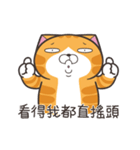 ランラン猫 68 (台湾版)（個別スタンプ：3）