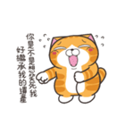 ランラン猫 68 (台湾版)（個別スタンプ：4）