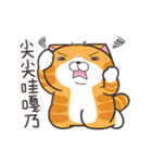 ランラン猫 68 (台湾版)（個別スタンプ：7）