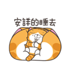 ランラン猫 68 (台湾版)（個別スタンプ：10）