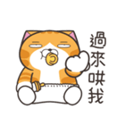 ランラン猫 68 (台湾版)（個別スタンプ：13）