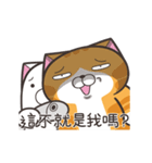 ランラン猫 68 (台湾版)（個別スタンプ：14）