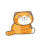 ランラン猫 68 (台湾版)（個別スタンプ：19）