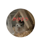 おもちがもちもちすたんぷ（個別スタンプ：2）