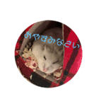 おもちがもちもちすたんぷ（個別スタンプ：3）