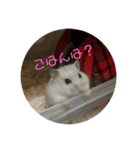 おもちがもちもちすたんぷ（個別スタンプ：7）