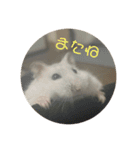 おもちがもちもちすたんぷ（個別スタンプ：10）