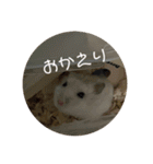 おもちがもちもちすたんぷ（個別スタンプ：15）