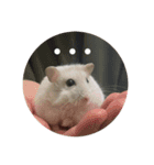 おもちがもちもちすたんぷ（個別スタンプ：20）