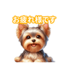 とにかくかわいい ヨークシャーテリア2（個別スタンプ：1）