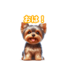 とにかくかわいい ヨークシャーテリア2（個別スタンプ：2）