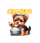 とにかくかわいい ヨークシャーテリア2（個別スタンプ：8）