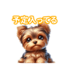 とにかくかわいい ヨークシャーテリア2（個別スタンプ：10）
